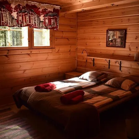 Puruvesi Villas, Riuttahovi Hiukkajoki